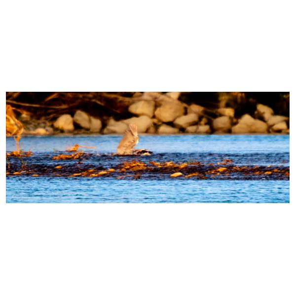 PHOTO84, CLUB, 84 , LUBERON